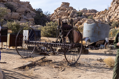 Joshua-Tree---9X5A6410.jpg Joshua-Tree---9X5A6410.jpg