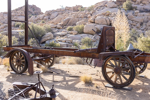 Joshua-Tree---9X5A6413.jpg Joshua-Tree---9X5A6413.jpg