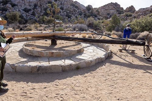 Joshua-Tree---9X5A6417.jpg Joshua-Tree---9X5A6417.jpg