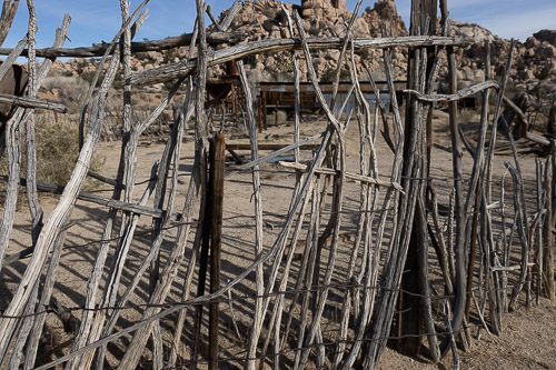 Joshua-Tree---9X5A6420.jpg Joshua-Tree---9X5A6420.jpg