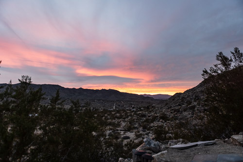 Joshua-Tree---9X5A6424.jpg Joshua-Tree---9X5A6424.jpg
