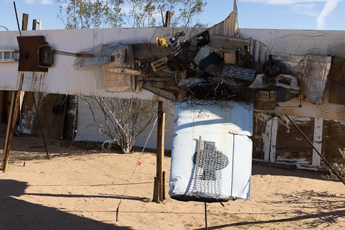 Untitled (Fish, A Good Catch) Joshua-Tree---9X5A6441.jpg
