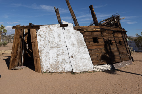 Shelter Joshua-Tree---9X5A6442.jpg