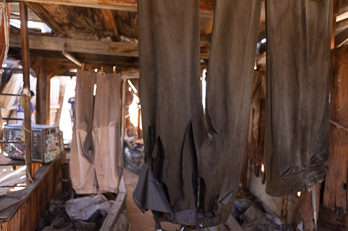 Shelter (Interior) Joshua-Tree---9X5A6443.jpg
