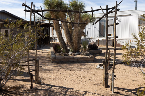 Joshua-Tree---9X5A6463.jpg Joshua-Tree---9X5A6463.jpg