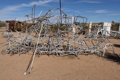 Joshua-Tree---9X5A6467.jpg Joshua-Tree---9X5A6467.jpg