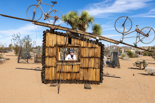 No Contest (Bicycles) Joshua-Tree---9X5A6472.jpg