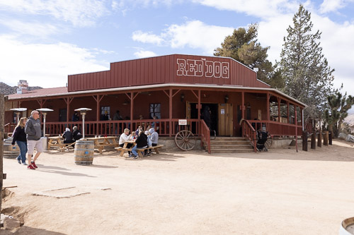 Joshua-Tree---9X5A6480.jpg Joshua-Tree---9X5A6480.jpg