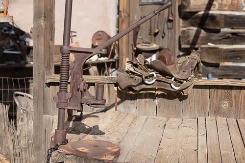 Joshua-Tree---9X5A6484.jpg Joshua-Tree---9X5A6484.jpg