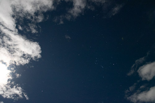 Joshua-Tree---9X5A6493.jpg Joshua-Tree---9X5A6493.jpg