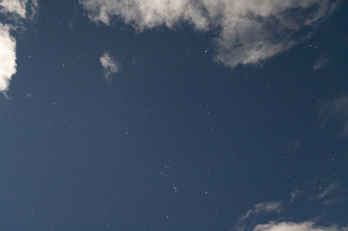 Joshua-Tree---9X5A6494.jpg Joshua-Tree---9X5A6494.jpg