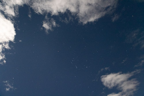 Joshua-Tree---9X5A6495.jpg Joshua-Tree---9X5A6495.jpg