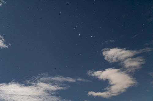 Joshua-Tree---9X5A6496.jpg Joshua-Tree---9X5A6496.jpg