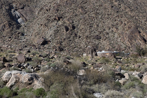 Joshua-Tree---9X5A6499.jpg Joshua-Tree---9X5A6499.jpg