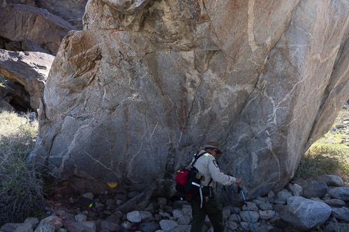Joshua-Tree---9X5A6501.jpg Joshua-Tree---9X5A6501.jpg