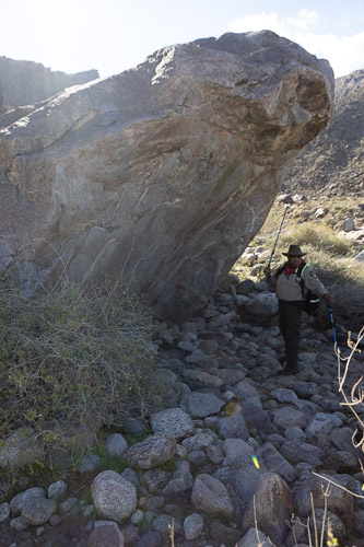 Joshua-Tree---9X5A6503.jpg Joshua-Tree---9X5A6503.jpg