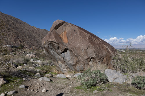 Joshua-Tree---9X5A6504.jpg Joshua-Tree---9X5A6504.jpg