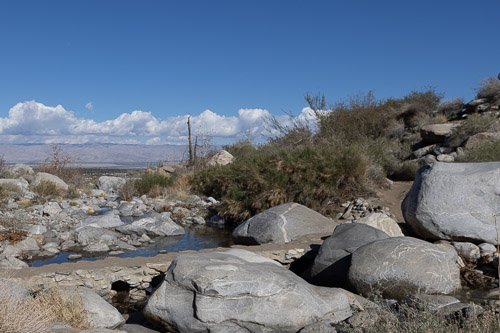 Joshua-Tree---9X5A6505.jpg Joshua-Tree---9X5A6505.jpg