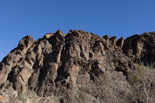 Joshua-Tree---9X5A6509.jpg Joshua-Tree---9X5A6509.jpg