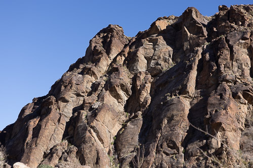 Joshua-Tree---9X5A6510.jpg Joshua-Tree---9X5A6510.jpg