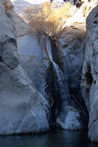 Joshua-Tree---9X5A6515.jpg Joshua-Tree---9X5A6515.jpg