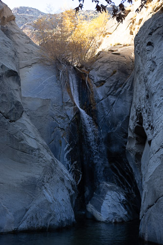 Joshua-Tree---9X5A6516.jpg Joshua-Tree---9X5A6516.jpg
