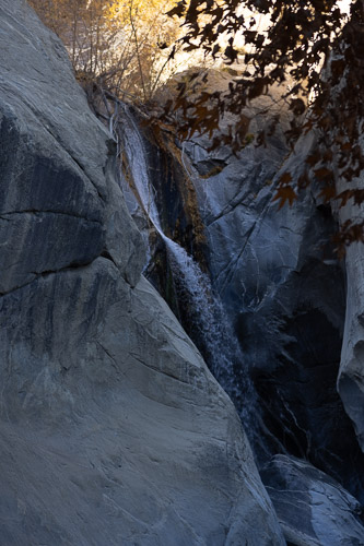 Joshua-Tree---9X5A6518.jpg Joshua-Tree---9X5A6518.jpg