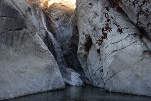 Joshua-Tree---9X5A6519.jpg Joshua-Tree---9X5A6519.jpg