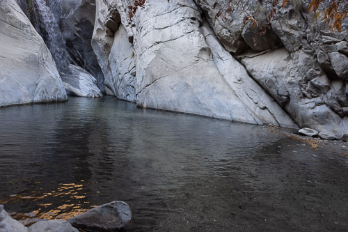 Joshua-Tree---9X5A6520.jpg Joshua-Tree---9X5A6520.jpg