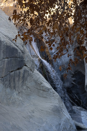 Joshua-Tree---9X5A6521.jpg Joshua-Tree---9X5A6521.jpg