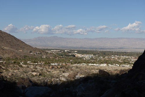 Joshua-Tree---9X5A6527.jpg Joshua-Tree---9X5A6527.jpg