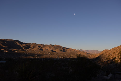 Joshua-Tree---9X5A6549.jpg Joshua-Tree---9X5A6549.jpg