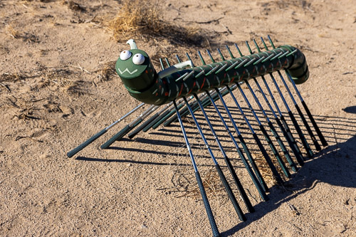 Joshua-Tree---9X5A6561.jpg Joshua-Tree---9X5A6561.jpg