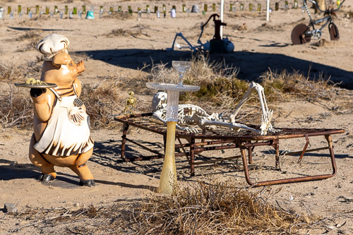 Joshua-Tree---9X5A6562.jpg Joshua-Tree---9X5A6562.jpg