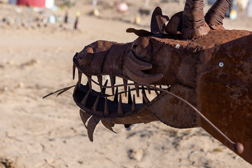 Joshua-Tree---9X5A6565.jpg Joshua-Tree---9X5A6565.jpg