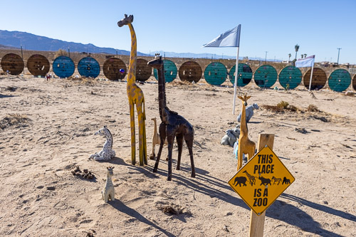 Joshua-Tree---9X5A6566.jpg Joshua-Tree---9X5A6566.jpg