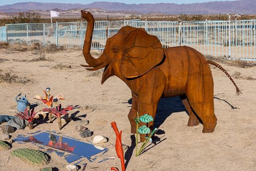 Joshua-Tree---9X5A6567.jpg Joshua-Tree---9X5A6567.jpg