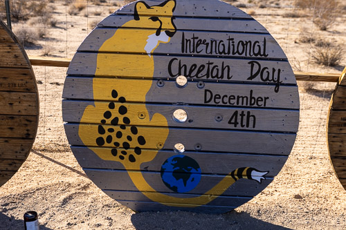 Joshua-Tree---9X5A6568.jpg Joshua-Tree---9X5A6568.jpg