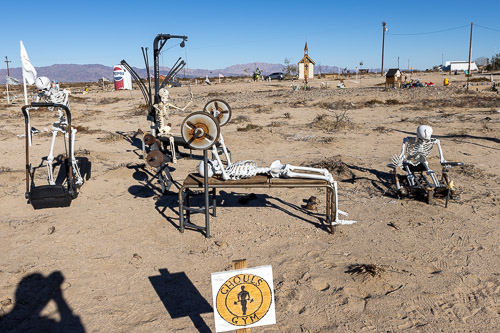 Joshua-Tree---9X5A6570.jpg Joshua-Tree---9X5A6570.jpg