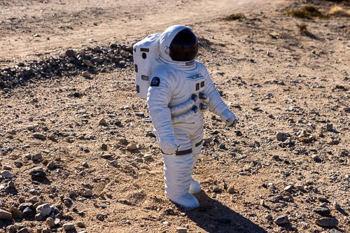 Joshua-Tree---9X5A6577.jpg Joshua-Tree---9X5A6577.jpg