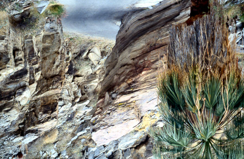 palm-springs--joshua-tree-np-scan-06_452182598_o.jpg palm-springs--joshua-tree-np-scan-06_452182598_o.jpg