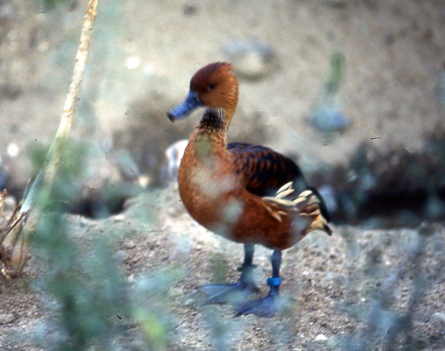 palm-springs--joshua-tree-np-scan-37_452251527_o.jpg palm-springs--joshua-tree-np-scan-37_452251527_o.jpg