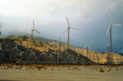 palm-springs--joshua-tree-np-scan-43_452260523_o.jpg palm-springs--joshua-tree-np-scan-43_452260523_o.jpg