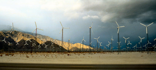 palm-springs--joshua-tree-np-scan-44_452261785_o.jpg palm-springs--joshua-tree-np-scan-44_452261785_o.jpg