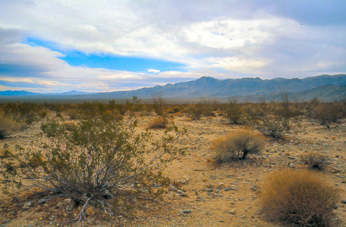 palm-springs--joshua-tree-np-scan-55_452285257_o.jpg palm-springs--joshua-tree-np-scan-55_452285257_o.jpg
