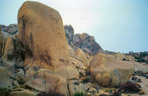palm-springs--joshua-tree-np-scan-59_452293723_o.jpg palm-springs--joshua-tree-np-scan-59_452293723_o.jpg