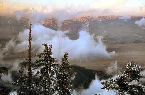 palm-springs--joshua-tree-np-scan-80_452834066_o.jpg palm-springs--joshua-tree-np-scan-80_452834066_o.jpg