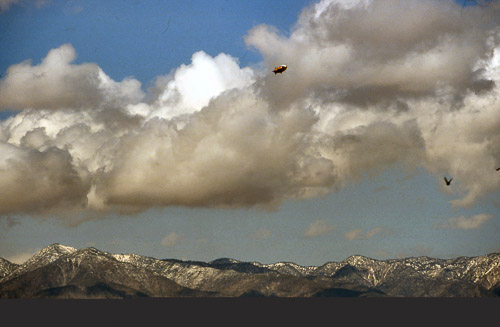 palm-springs--joshua-tree-np-scan-81_452853257_o.jpg palm-springs--joshua-tree-np-scan-81_452853257_o.jpg