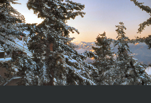 palm-springs--joshua-tree-np-scan-82_452855261_o.jpg palm-springs--joshua-tree-np-scan-82_452855261_o.jpg