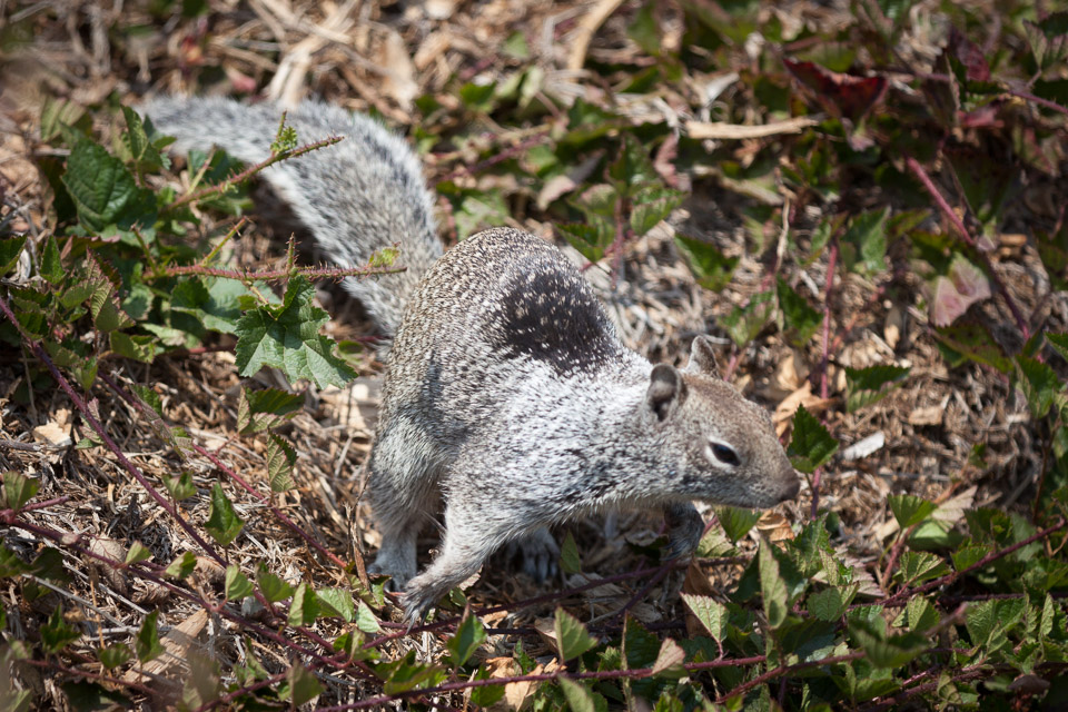 IMG_9974.jpg